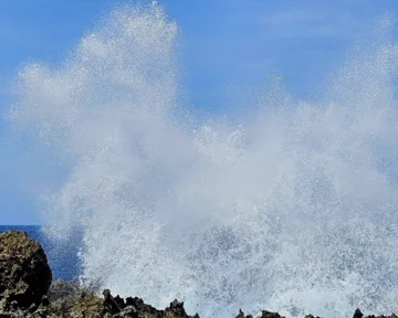 (Po)moč za življenje